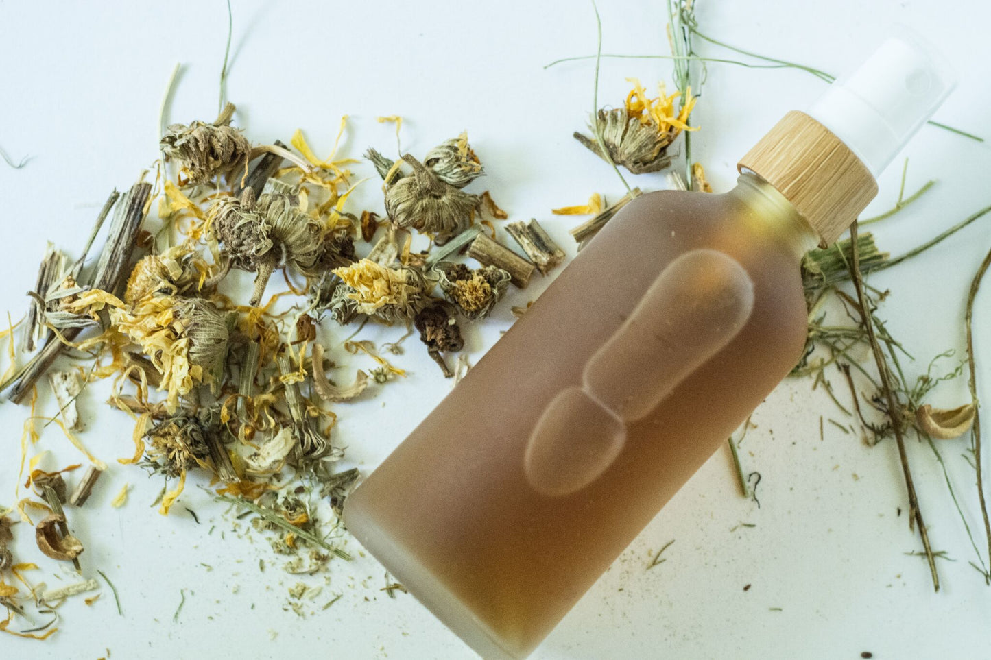 Probióticos: Un MUST en tu rutina de belleza