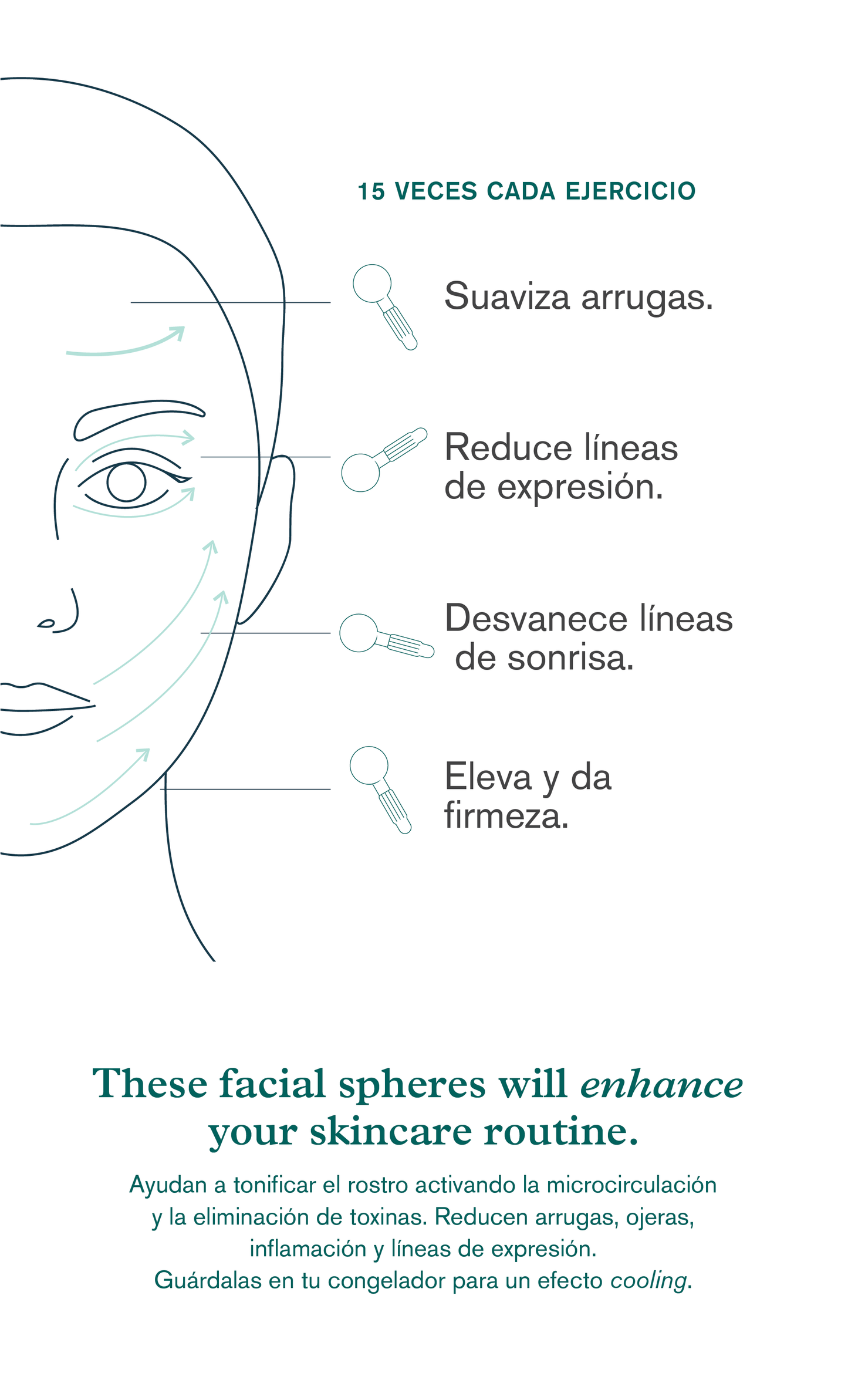 
                  
                    Facial Spheres
                  
                